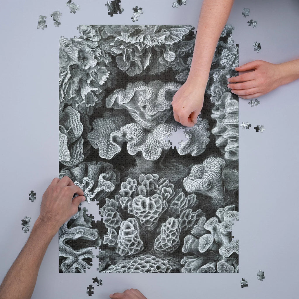 Ernst Haeckel, Hexacoralla (1000 Piece Puzzle, Sizeize 19x27, Challenging Jigsaw Puzzle for Adults and Family, Made in USizeA)