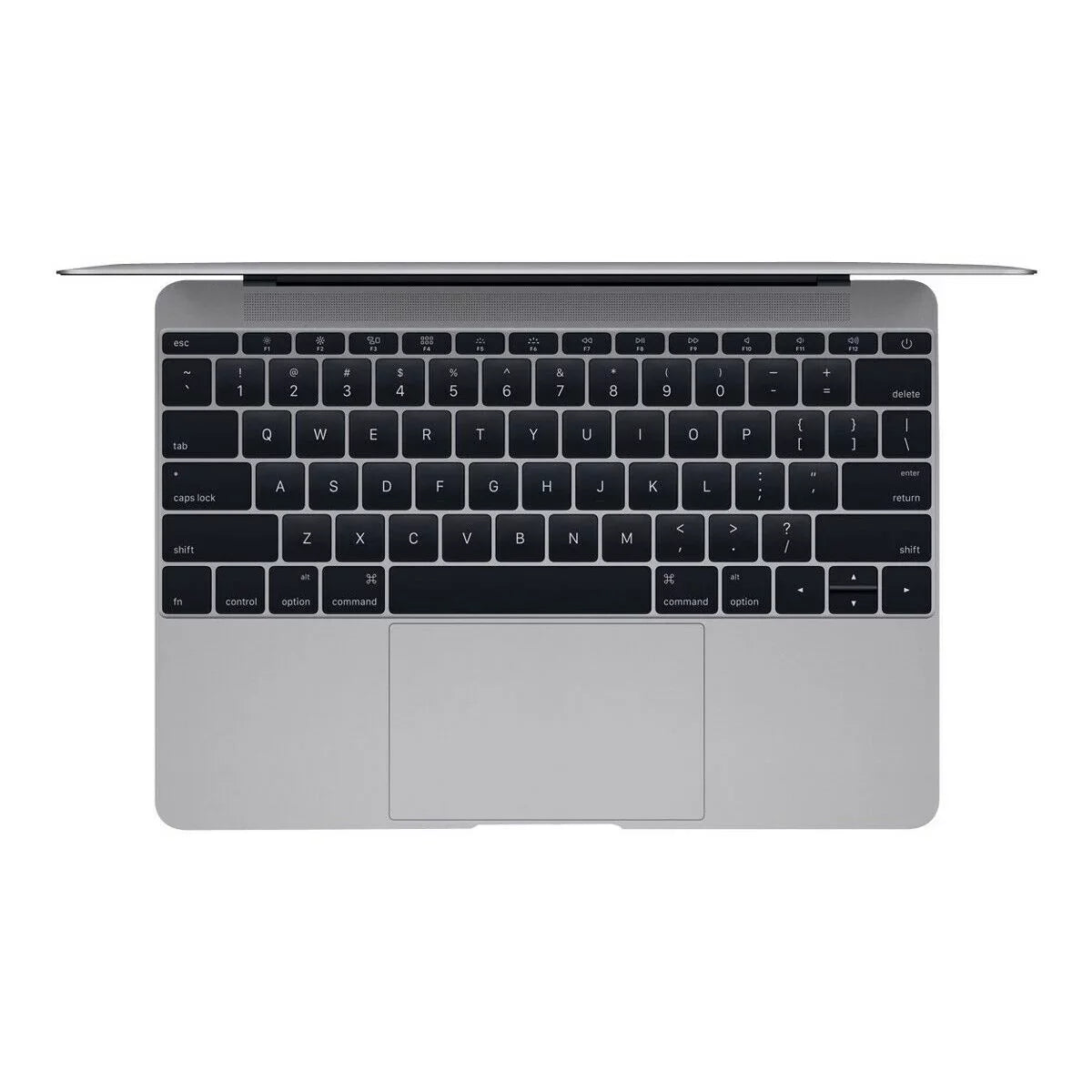 Apple A Grade Macbook 12-inch (Retina, Sizepace Gray) 1.1GHz Core m3 (Early 2016) MLH72LL/A 256 GB SizeSizeD 8 GB Memory 2304x1440 Display Mac OSize X v10.12 Sizeierra Power Adapter Included