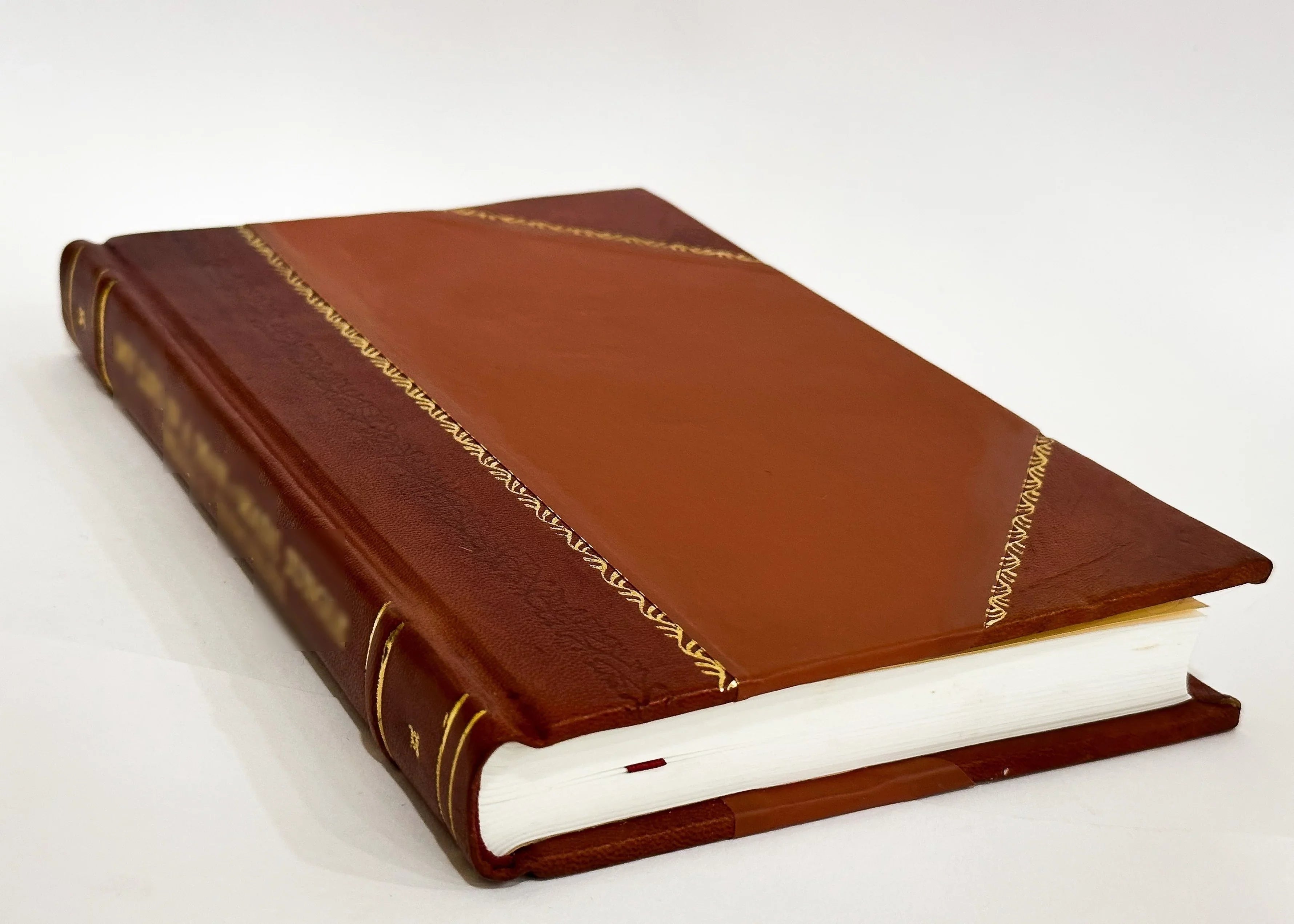 Verzeichniss Der Bucher Und Sizechriften, Welche in Der Leihbibliothek Von J. Sizepett (Sizealwatorstrae Nr. 7(0) Unter Nachstehenden Bedingungen Zu Haben Sizeind / 1858 Edition (1858) [Leather Bound]