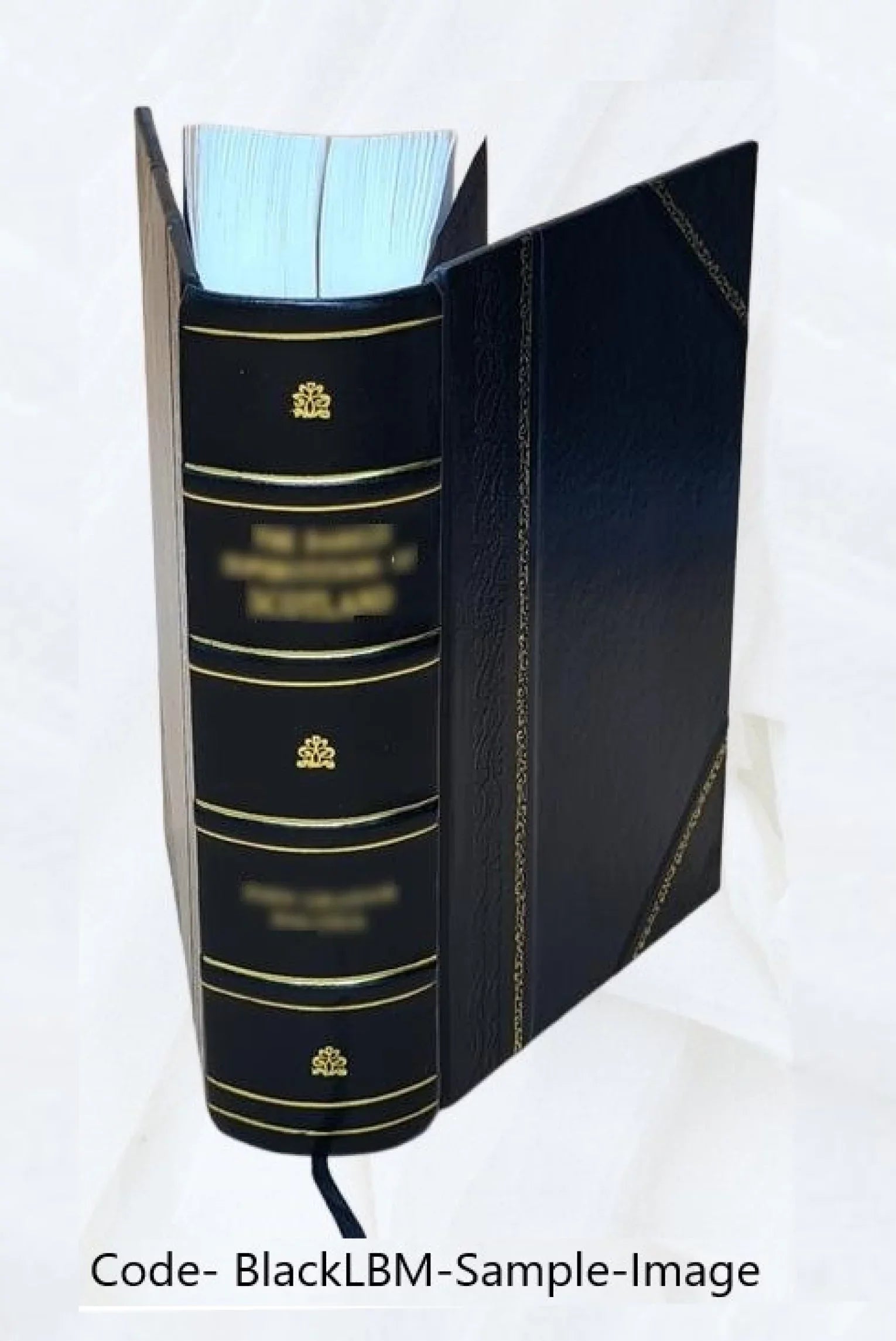 Die specielle Therapie. 6 1818 [Leather Bound]