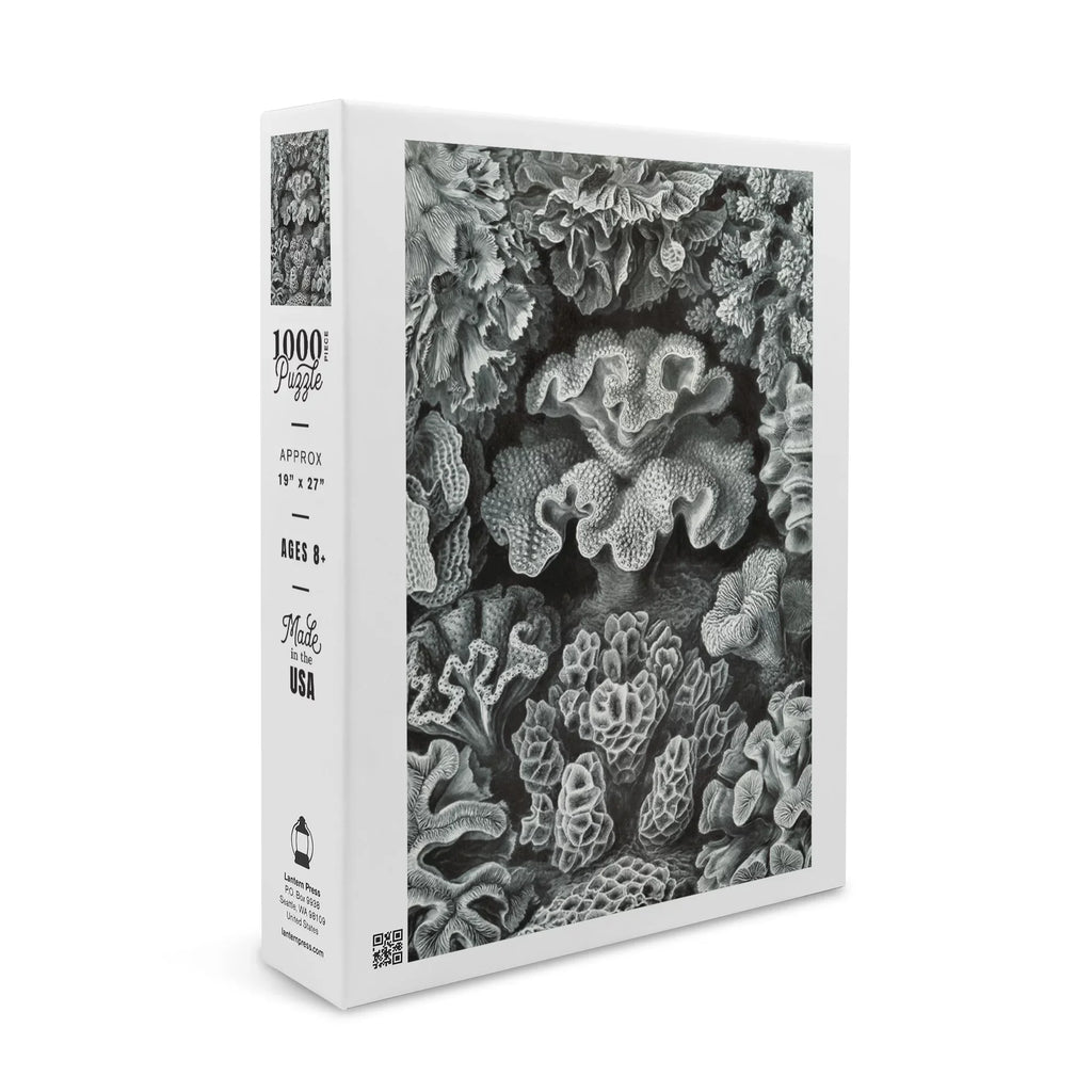 Ernst Haeckel, Hexacoralla (1000 Piece Puzzle, Sizeize 19x27, Challenging Jigsaw Puzzle for Adults and Family, Made in USizeA)