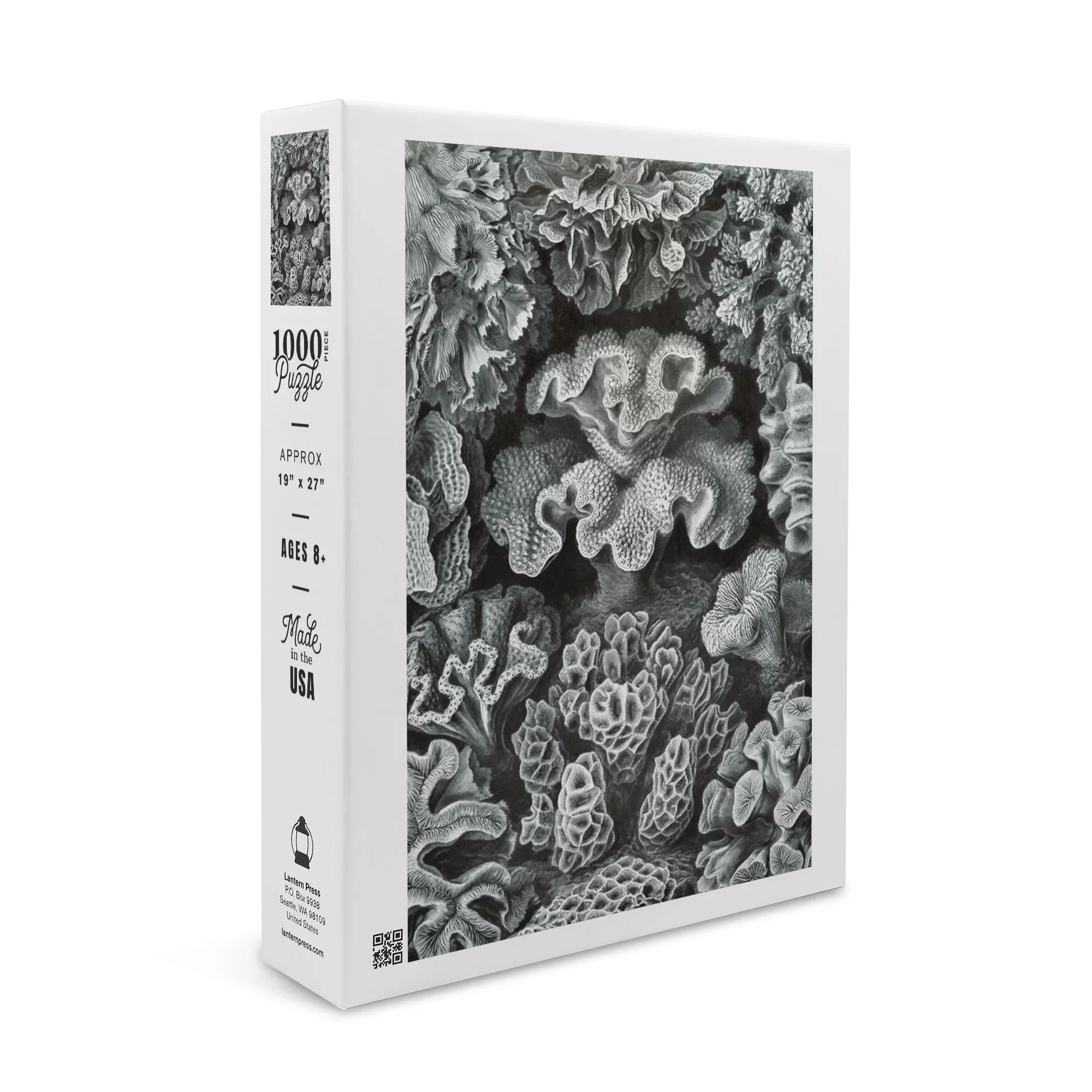 Ernst Haeckel, Hexacoralla (1000 Piece Puzzle, Sizeize 19x27, Challenging Jigsaw Puzzle for Adults and Family, Made in USizeA)