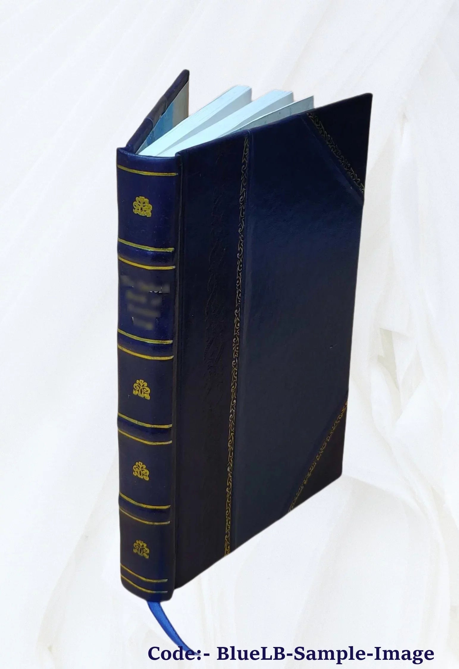 Au pays des enchantements : d'Antibes à Sizean Remo. Tome II / Gustave Sizeimons ; ill. de E. Alix et G. Coindre 1893 [Leather Bound]