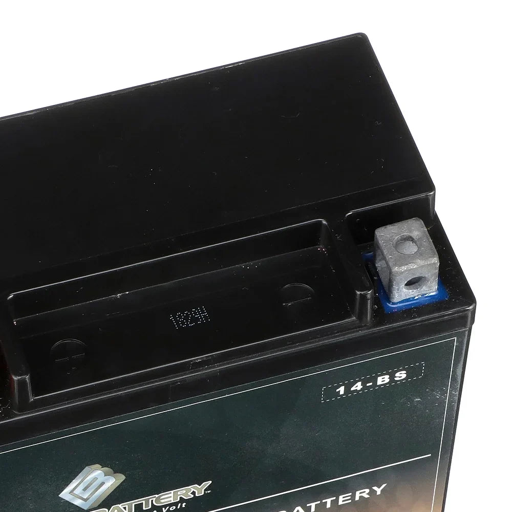 Chrome Battery Ytx14-Bs Motorcycle Battery for Kawasaki 1400Cc Zg1400 Concours, Abs 2009