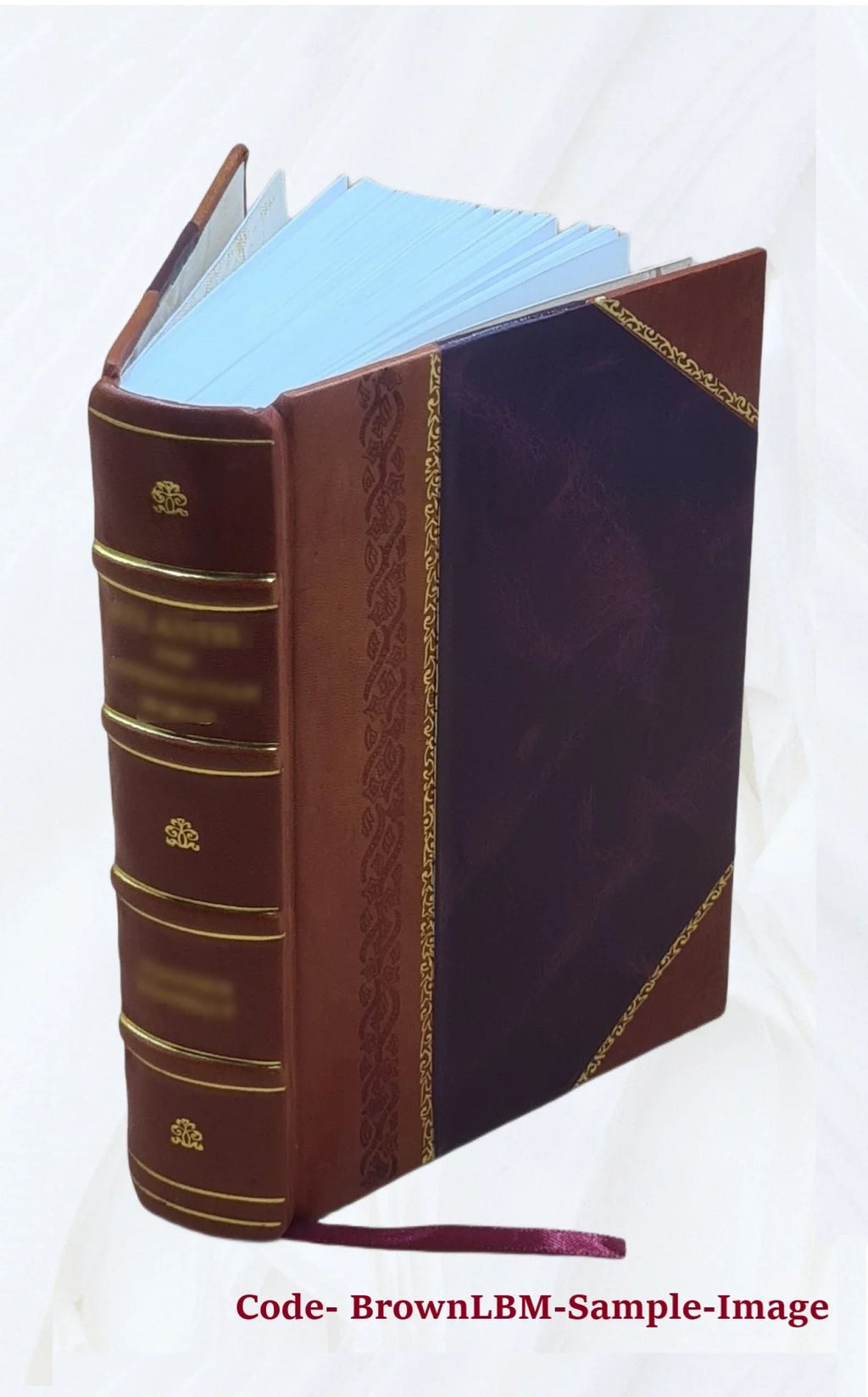 La Revista de Buenos Aires Volume 9 1871 [Leather Bound]