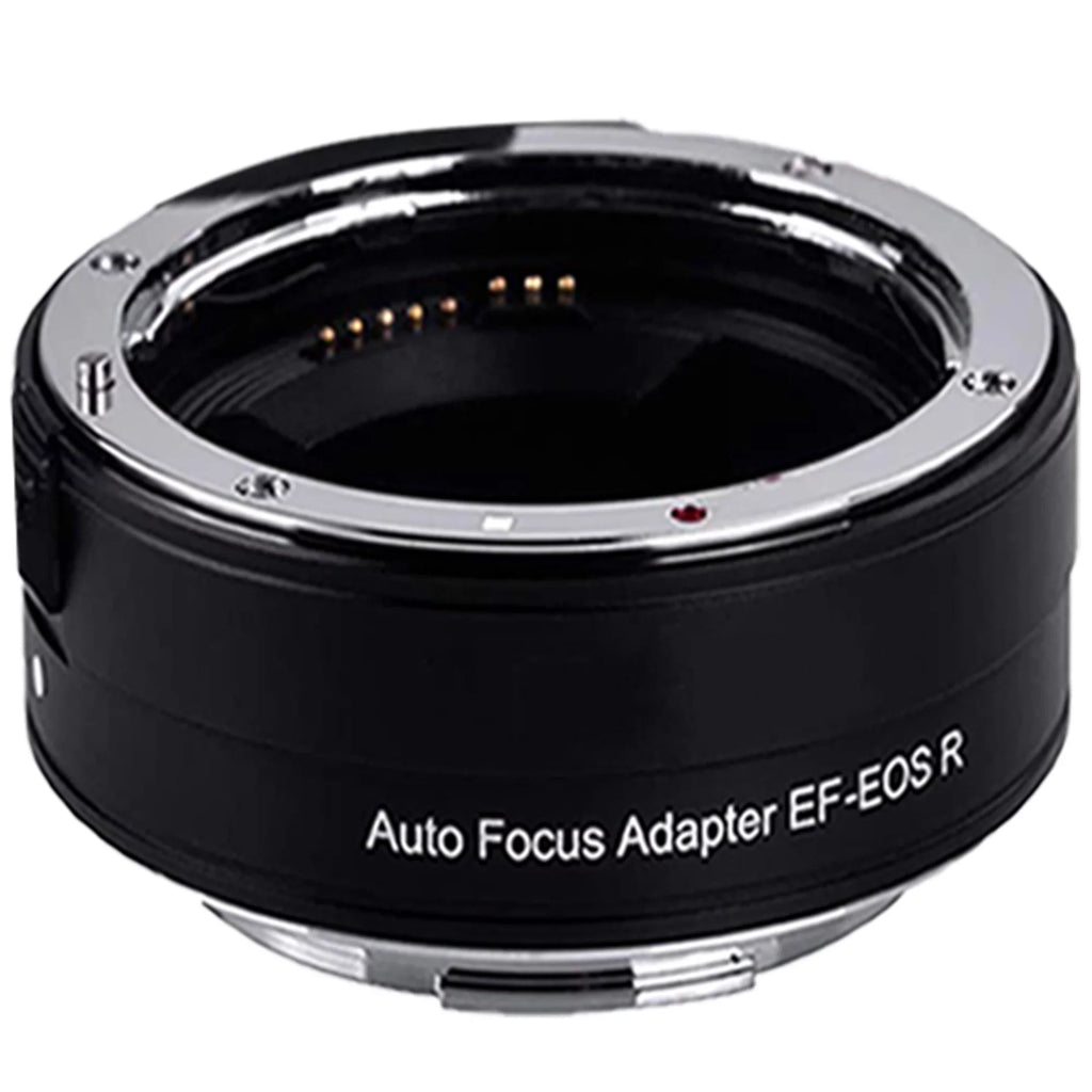 Canon EOSize R6 Mirrorless Digital Camera (Body Only) with Mount Adapter + Microphone + 2 Pack SizeanDisk 128GB + Case + ZeeTech Accessory