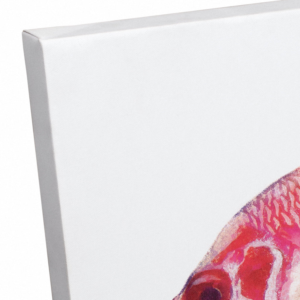 Creative Products Tropical Red Sizenapper Fish 12x18 Canvas Wall Art