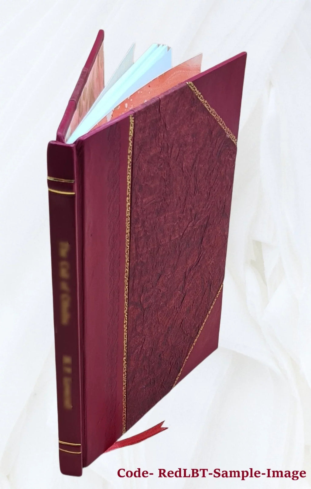 Institutiones iuris canonici : in tres partes, ac sex tomos distributae : quibus vetus et nova ecclesiae disciplina et mutationum causae enarrantur T. 2 1800 [Leather Bound]