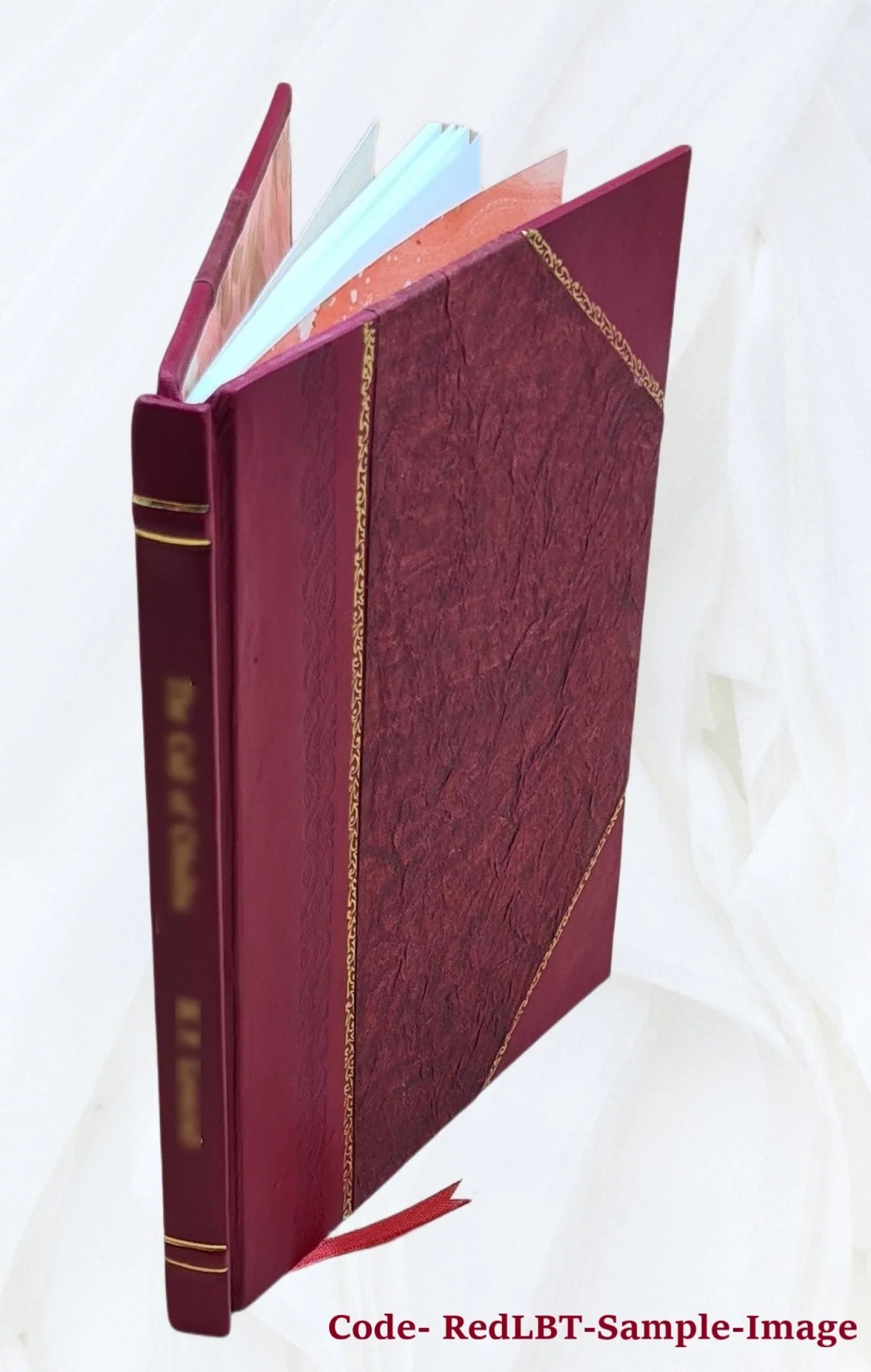Biga quæstionum theologico-philosophicarum quarum I. Sizeitne de ratione creaturæ essendi novitas? II. Possitne creatura per omnipotentiam Dei absolutam elevari, ut causa creationis s