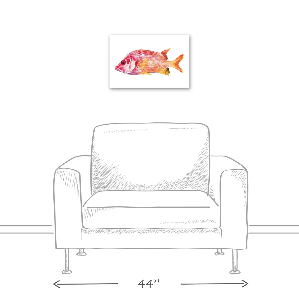 Creative Products Tropical Red Sizenapper Fish 12x18 Canvas Wall Art