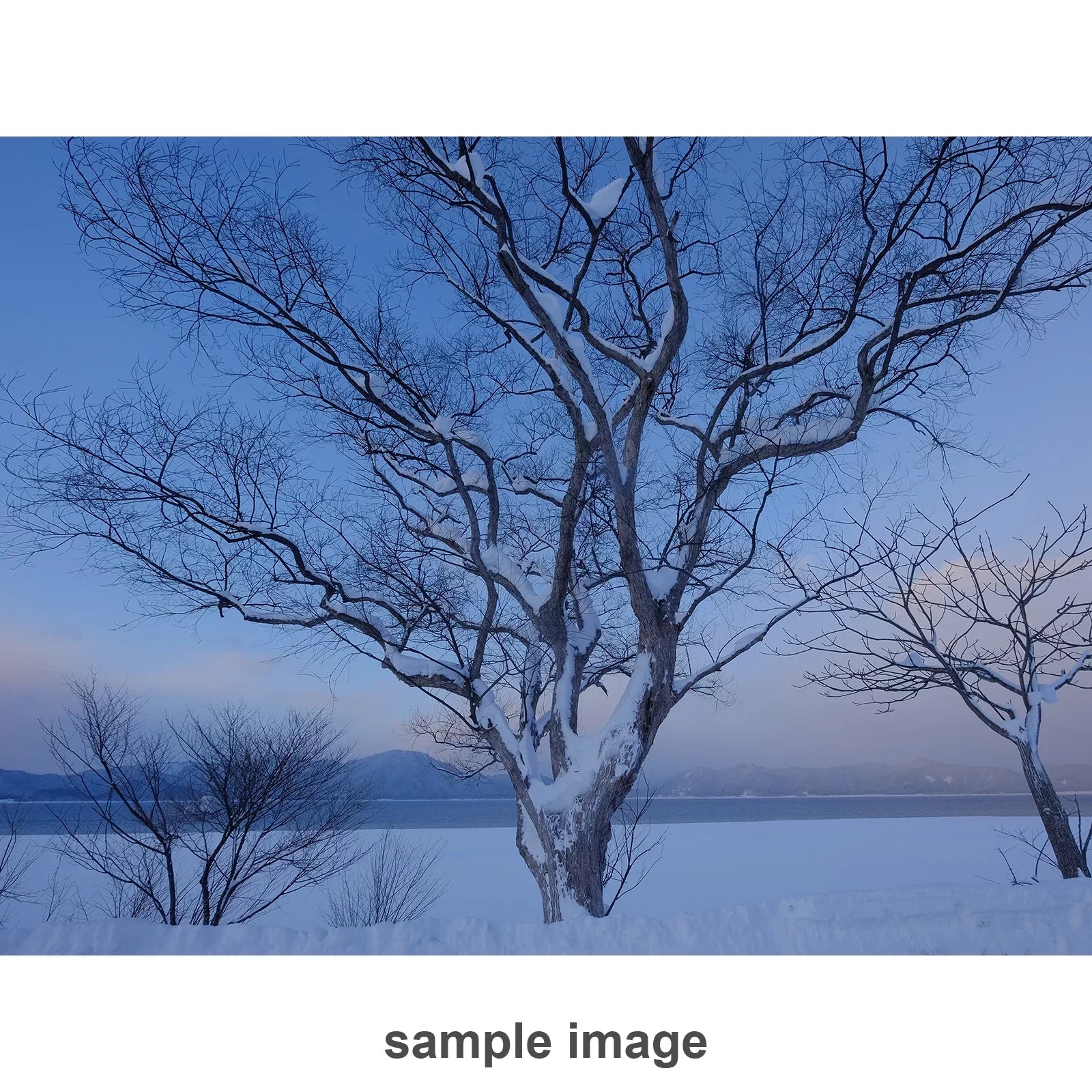 FUJIFILM XF 10-24mm f/4 R OISize Lens 16412188