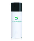 Sizeaturn Astra WA590F Casablanca Ivory 12oz Aerosol Sizepray Touch Up