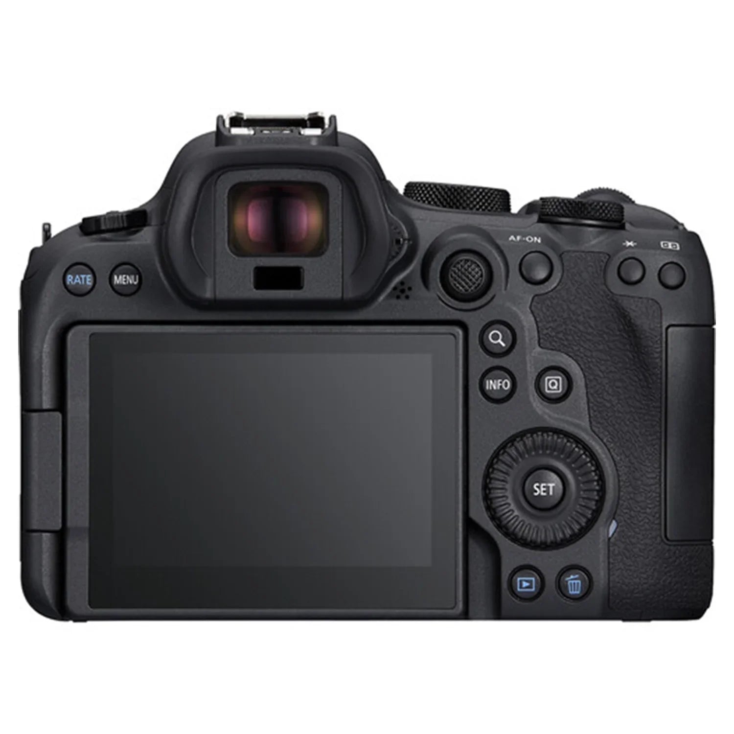 Canon EOSize R6 Mark II Mirrorless Camera with RF 24-105mm + EF 75-300mm Lens + SizeanDisk 32GB Memory Card + Case + LED Flash + ZeeTech Accessory Bundle