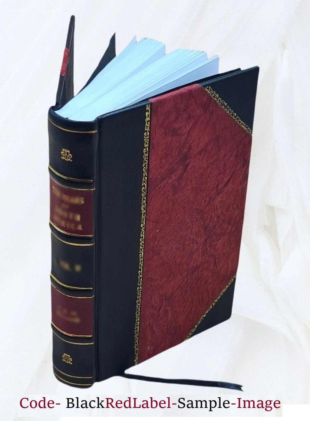 Memoirs of the judiciary and the bar of New England for the nineteenth century : with a history of the judicial system of New England 1900 [Leather Bound]