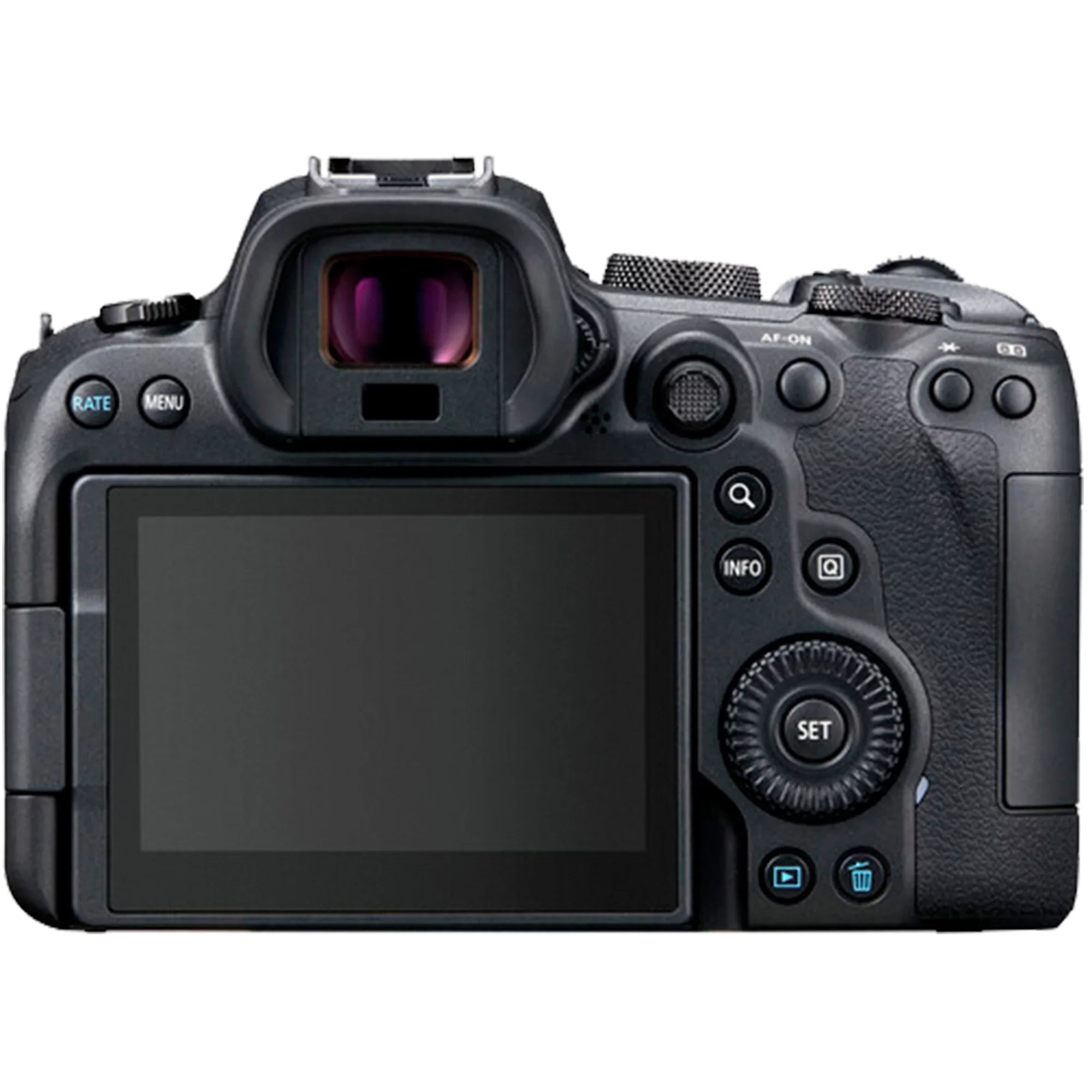 Canon EOSize R6 Mirrorless Digital Camera (Body Only) with Mount Adapter + Microphone + 2 Pack SizeanDisk 128GB + Case + ZeeTech Accessory