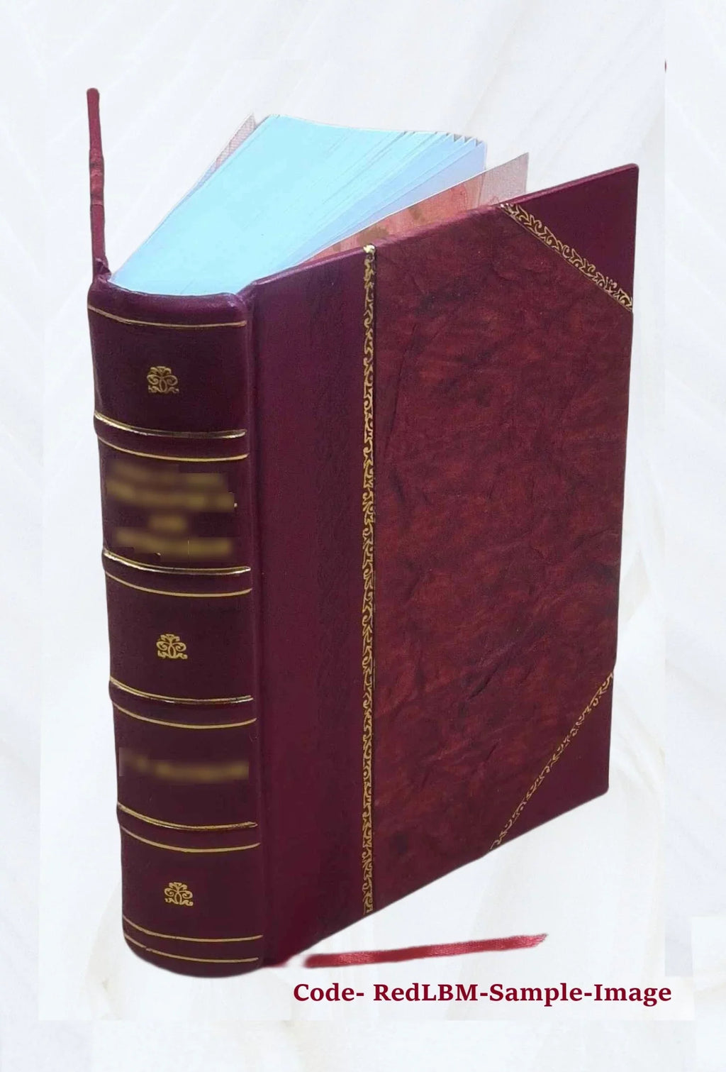 Burke's speech at the impeachment of warren hastings 1903 [Leather Bound]