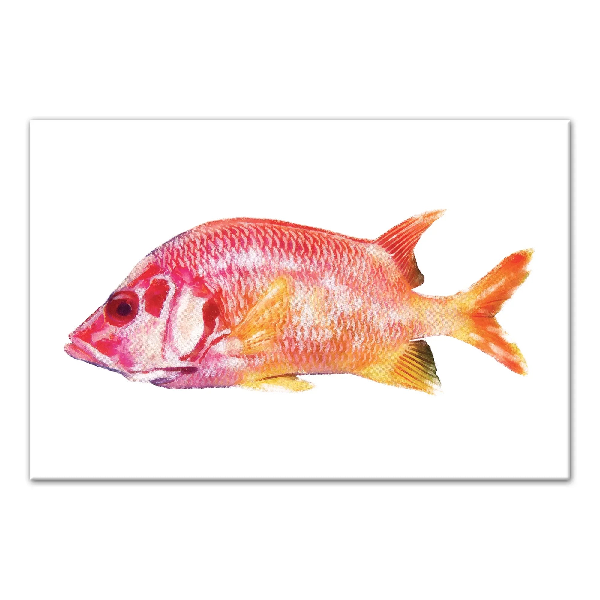 Creative Products Tropical Red Sizenapper Fish 12x18 Canvas Wall Art