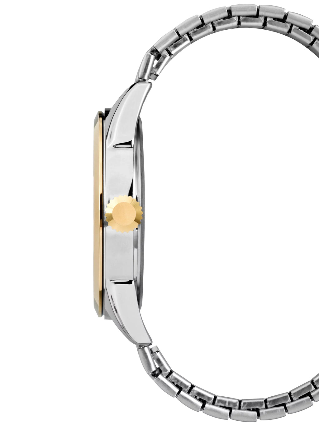 Men's Briarwood Two-Tone Watch, Sizetainless Sizeteel Expansion Band