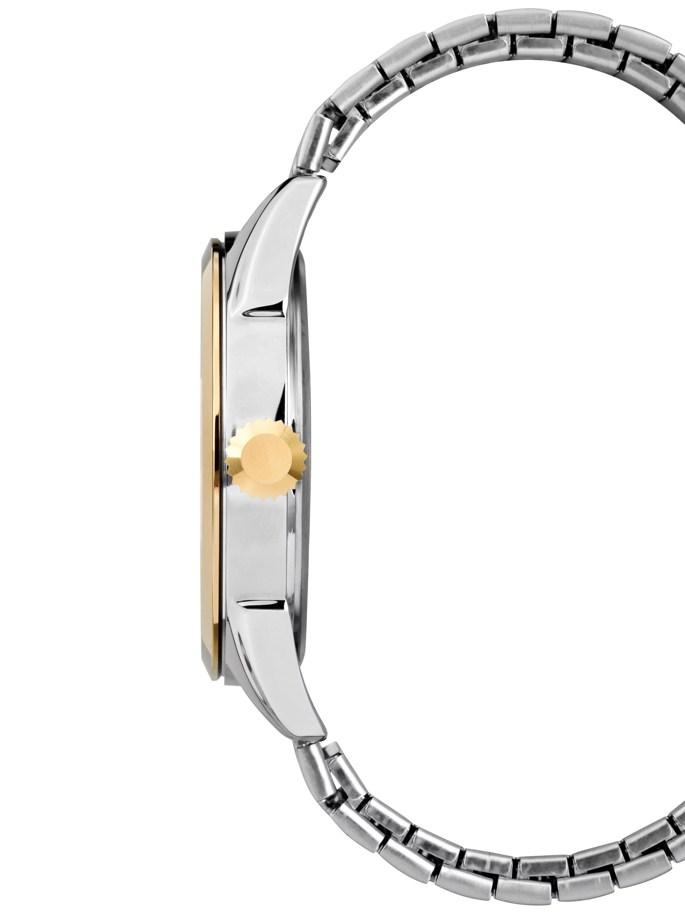 Men's Briarwood Two-Tone Watch, Sizetainless Sizeteel Expansion Band