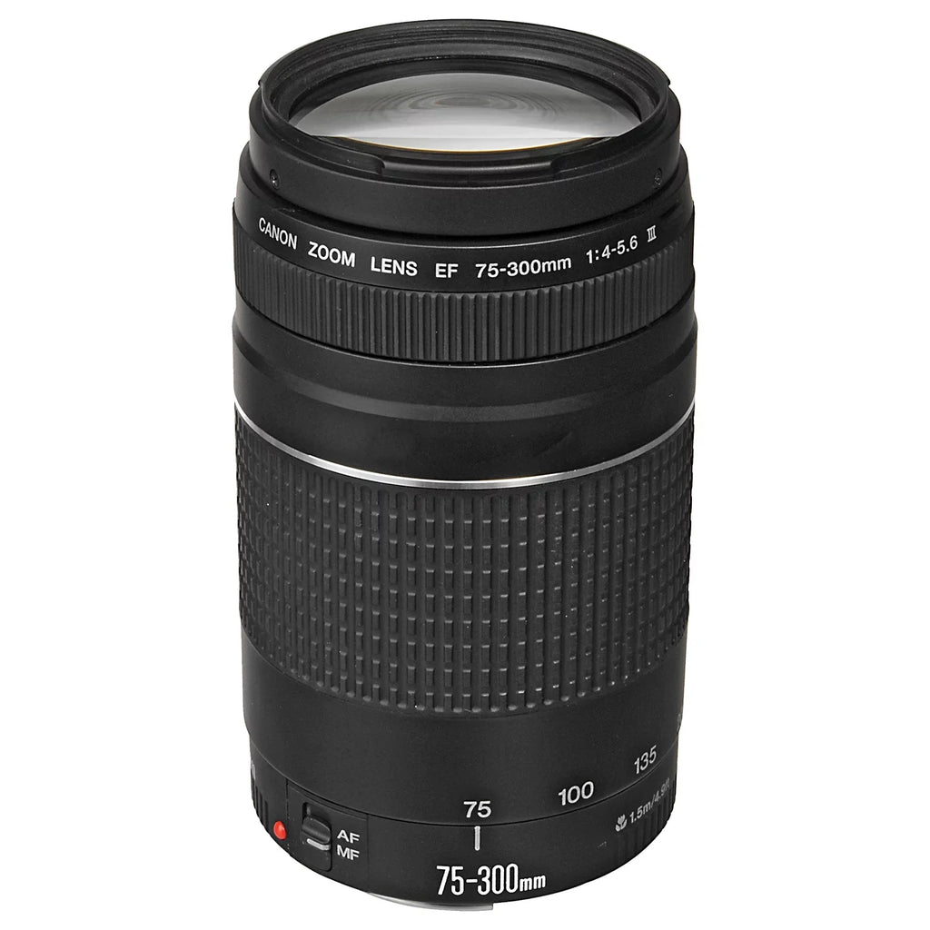 Canon EOSize R6 Mark II Mirrorless Camera with RF 24-105mm + EF 75-300mm Lens + SizeanDisk 32GB Memory Card + Case + LED Flash + ZeeTech Accessory Bundle