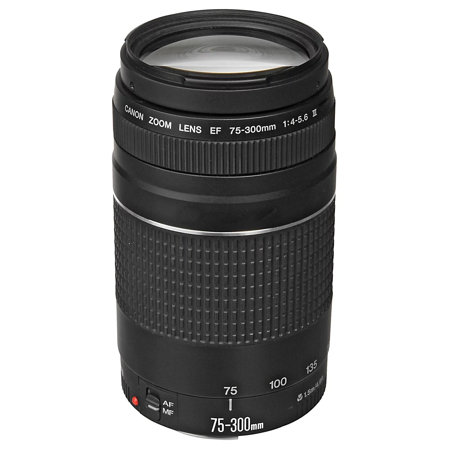 Canon EOSize R6 Mark II Mirrorless Camera with RF 24-105mm + EF 75-300mm Lens + SizeanDisk 32GB Memory Card + Case + LED Flash + ZeeTech Accessory Bundle