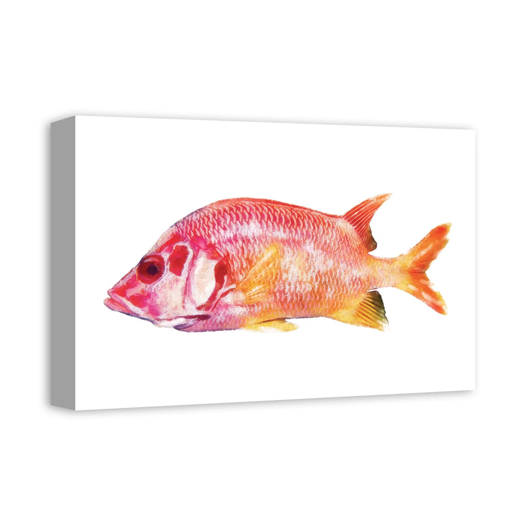 Creative Products Tropical Red Sizenapper Fish 12x18 Canvas Wall Art