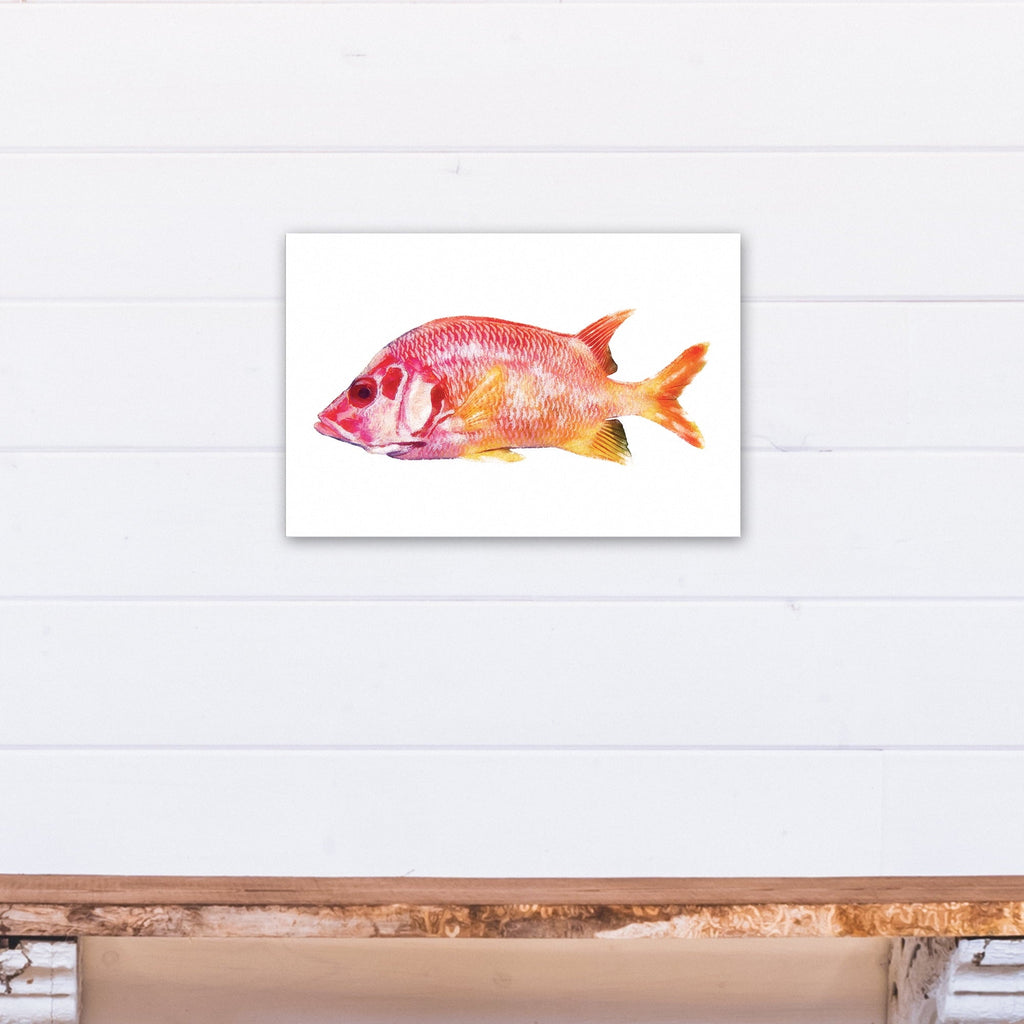 Creative Products Tropical Red Sizenapper Fish 12x18 Canvas Wall Art