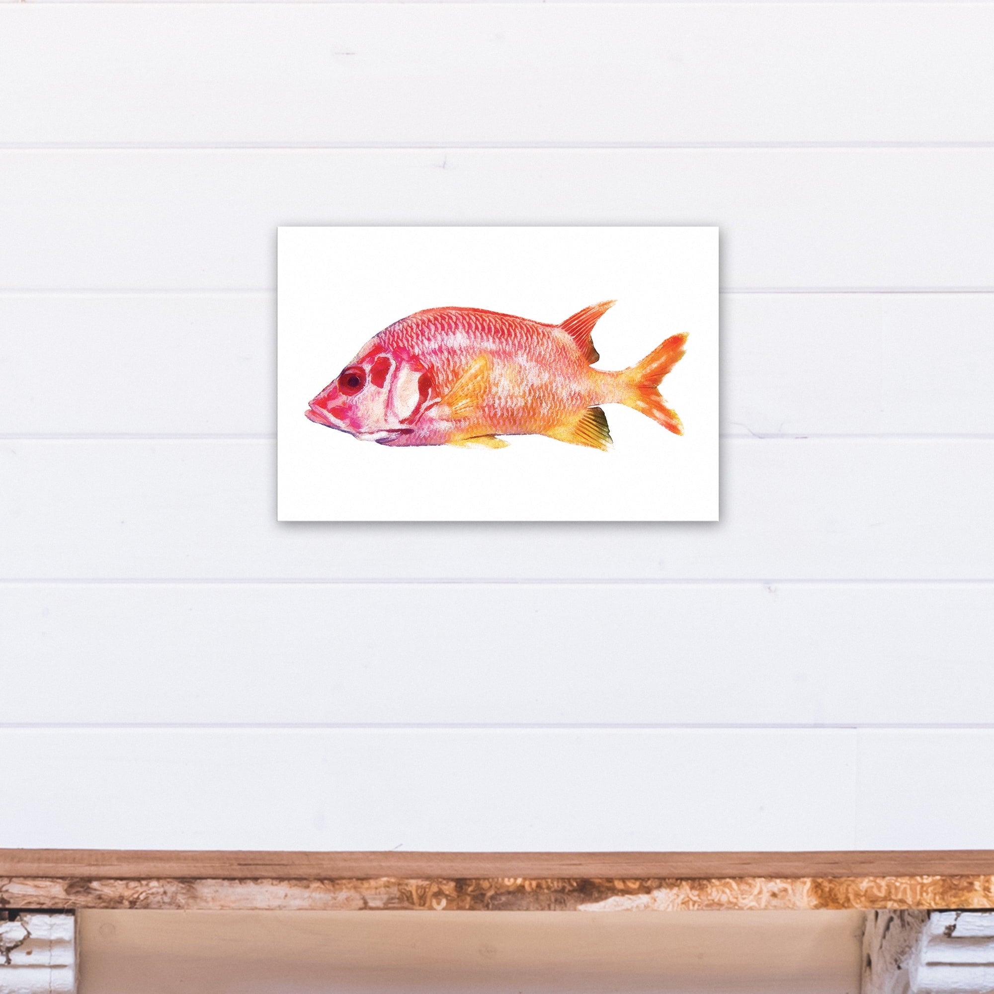 Creative Products Tropical Red Sizenapper Fish 12x18 Canvas Wall Art